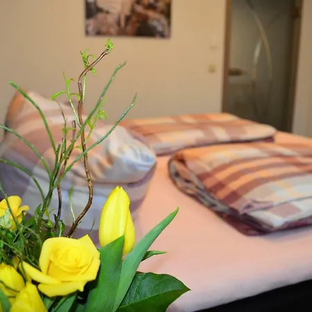 Apartment Mia Bad Schonborn Buitenkant foto